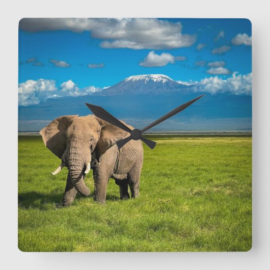 山 |山キリマンジャロ・タンザニア，アフリカ スクエア壁時計 (正面)