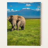 山 |山キリマンジャロ・タンザニア,アフリカ プランナー手帳 (裏面)