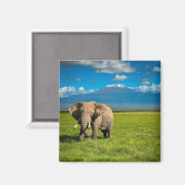 山 |山キリマンジャロ・タンザニア,アフリカ マグネット (正面/裏面)