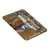 山《鳥》アメリカゴガラオンフィーダー マグネット (右側)