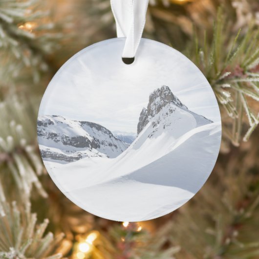山 | Achensee Zillertal，オーストリア オーナメント (ツリー)