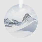 山 | Achensee Zillertal，オーストリア オーナメント (正面)