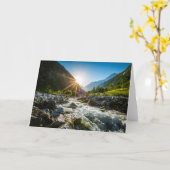 山 | Hohe Tauern National Park，オーストリア カード (黄色い花)