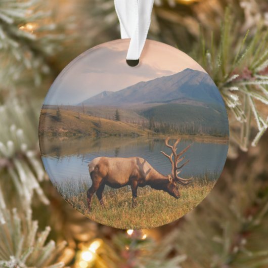 山 | Jacques Mountain Range Alberta Canada オーナメント (ツリー)