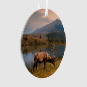 山 | Jacques Mountain Range Alberta Canada オーナメント (正面)