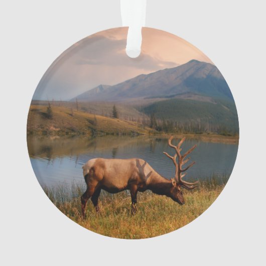 山 | Jacques Mountain Range Alberta Canada オーナメント (裏面)