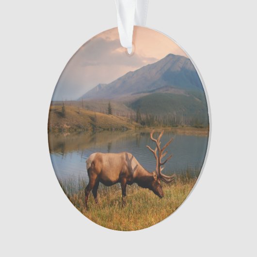 山 | Jacques Mountain Range Alberta Canada オーナメント (正面)