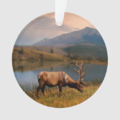 山 | Jacques Mountain Range Alberta Canada オーナメント (正面)