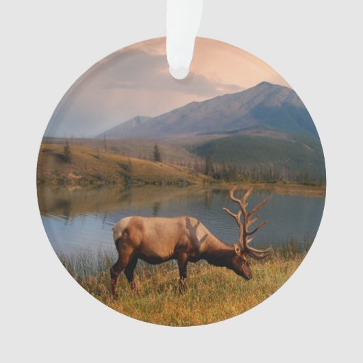 山 | Jacques Mountain Range Alberta Canada オーナメント (正面)