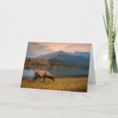 山 | Jacques Mountain Range Alberta Canada カード (正面)