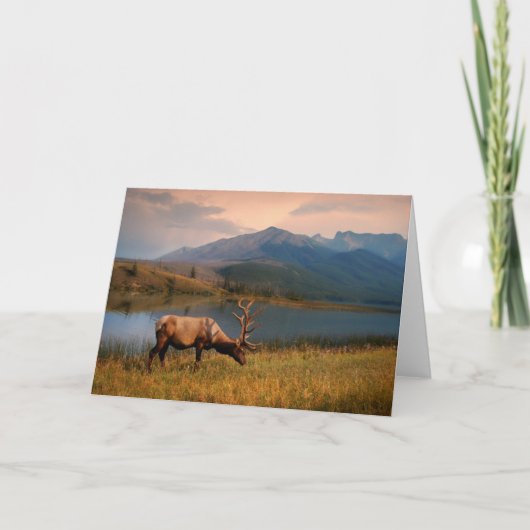 山 | Jacques Mountain Range Alberta Canada カード (正面)