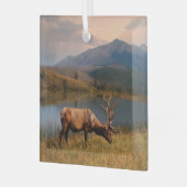 山 | Jacques Mountain Range Alberta Canada ガラスオーナメント (正面左)