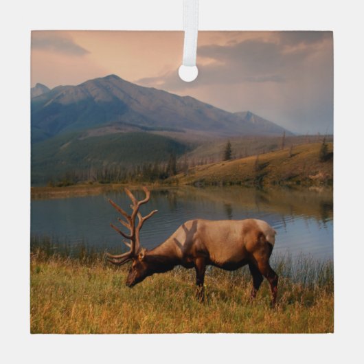 山 | Jacques Mountain Range Alberta Canada ガラスオーナメント (裏面)