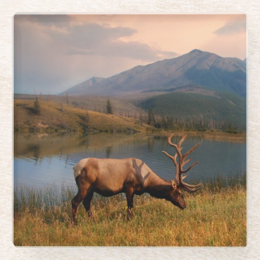 山 | Jacques Mountain Range Alberta Canada ガラスコースター (正面)