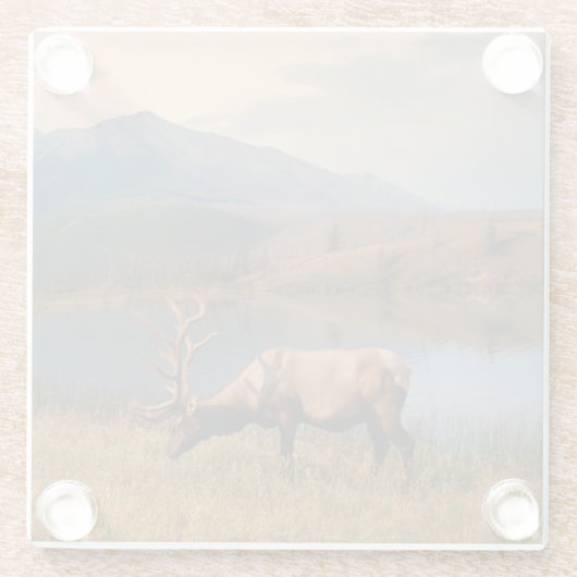 山 | Jacques Mountain Range Alberta Canada ガラスコースター (裏面)