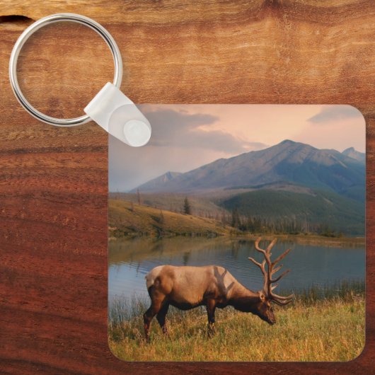 山 | Jacques Mountain Range Alberta Canada キーホルダー (正面)