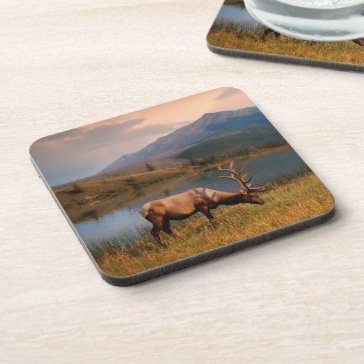 山 | Jacques Mountain Range Alberta Canada コースター (左側)