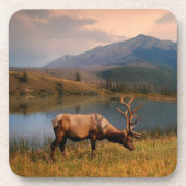 山 | Jacques Mountain Range Alberta Canada コースター (正面)