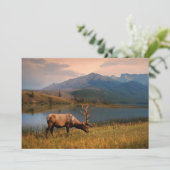 山 | Jacques Mountain Range Alberta Canada サンキューカード (スタンド正面)