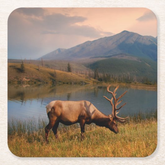 山 | Jacques Mountain Range Alberta Canada スクエアペーパーコースター (正面)