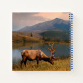 山 | Jacques Mountain Range Alberta Canada ノートブック (裏面)