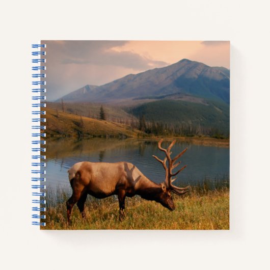 山 | Jacques Mountain Range Alberta Canada ノートブック (正面)