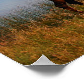 山 | Jacques Mountain Range Alberta Canada ポスター (角)