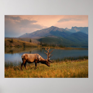 山 Jacques Mountain Range Alberta Canada ポスター