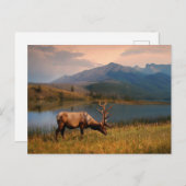 山 | Jacques Mountain Range Alberta Canada ポストカード (正面/裏面)