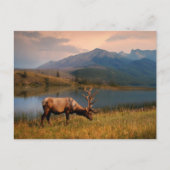 山 | Jacques Mountain Range Alberta Canada ポストカード (正面)