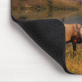 山 | Jacques Mountain Range Alberta Canada マウスパッド (コーナー)