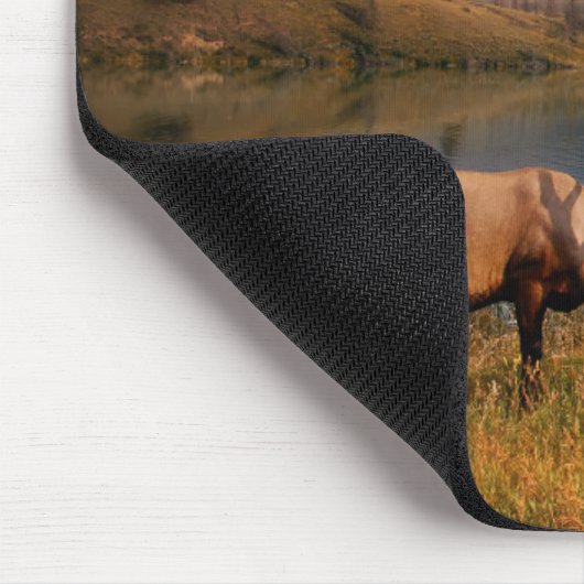 山 | Jacques Mountain Range Alberta Canada マウスパッド (コーナー)