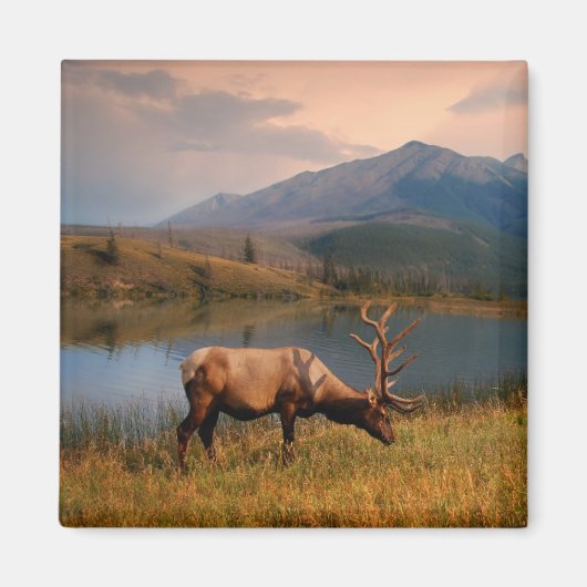 山 | Jacques Mountain Range Alberta Canada マグネット (正面)