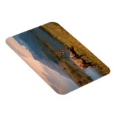 山 | Jacques Mountain Range Alberta Canada マグネット (右側)