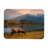 山 | Jacques Mountain Range Alberta Canada マグネット (横)