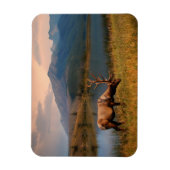 山 | Jacques Mountain Range Alberta Canada マグネット (縦)