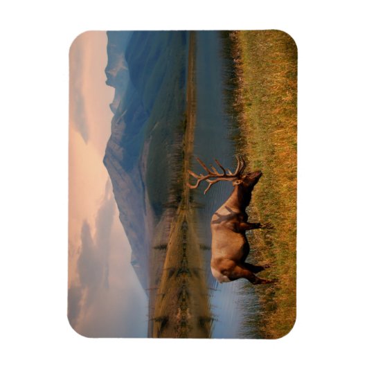 山 | Jacques Mountain Range Alberta Canada マグネット (縦)