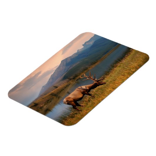 山 | Jacques Mountain Range Alberta Canada マグネット (左側)