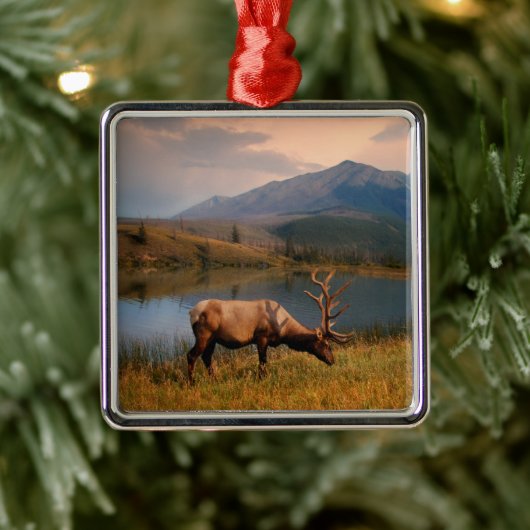 山 | Jacques Mountain Range Alberta Canada メタルオーナメント (ツリー)