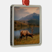 山 | Jacques Mountain Range Alberta Canada メタルオーナメント (右)