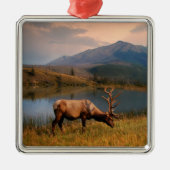 山 | Jacques Mountain Range Alberta Canada メタルオーナメント (正面)