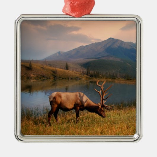 山 | Jacques Mountain Range Alberta Canada メタルオーナメント (正面)