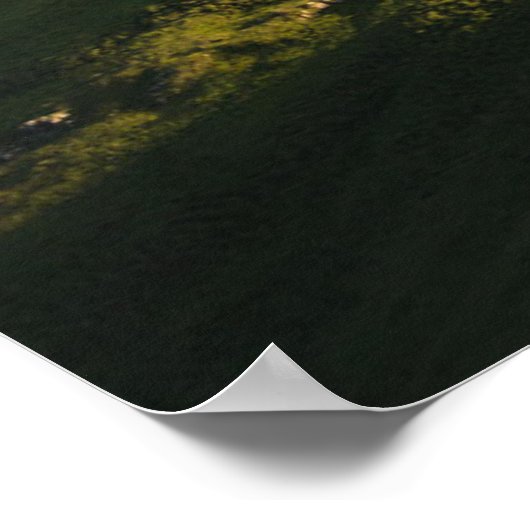 山 | Spitzingsee湖，スイスアルプス ポスター (角)