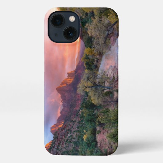 山 | The Watchman Zion Nathional Park Utah iPhoneケース (裏面)