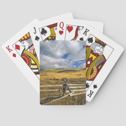 山Haggin NWRはアナコンダモンタナに近づきます トランプ (裏面)