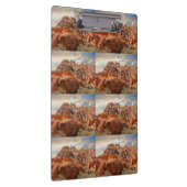 山HDRの写真 クリップボード (右)