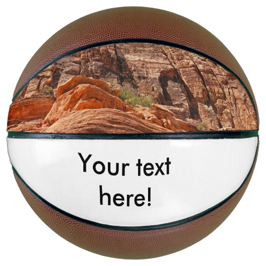 山HDRの写真 バスケットボール (正面)