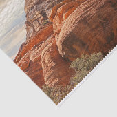 山HDRの写真 薄葉紙 (詳細)