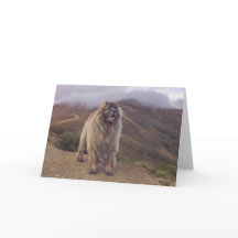 山Leonberger
