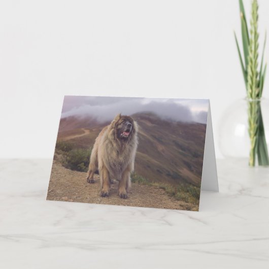 山Leonberger カード (正面)